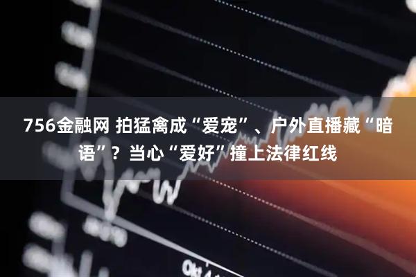 756金融网 拍猛禽成“爱宠”、户外直播藏“暗语”?当心“爱好”撞上法律红线