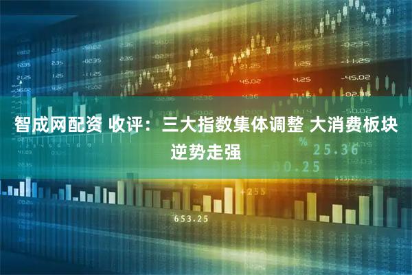 智成网配资 收评：三大指数集体调整 大消费板块逆势走强